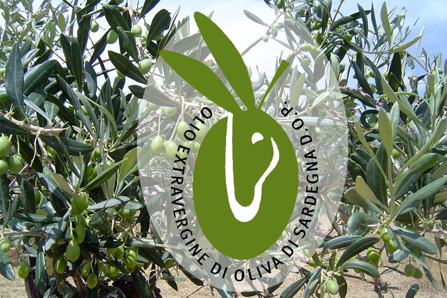 Sardegna Olive Oil P.D.O.