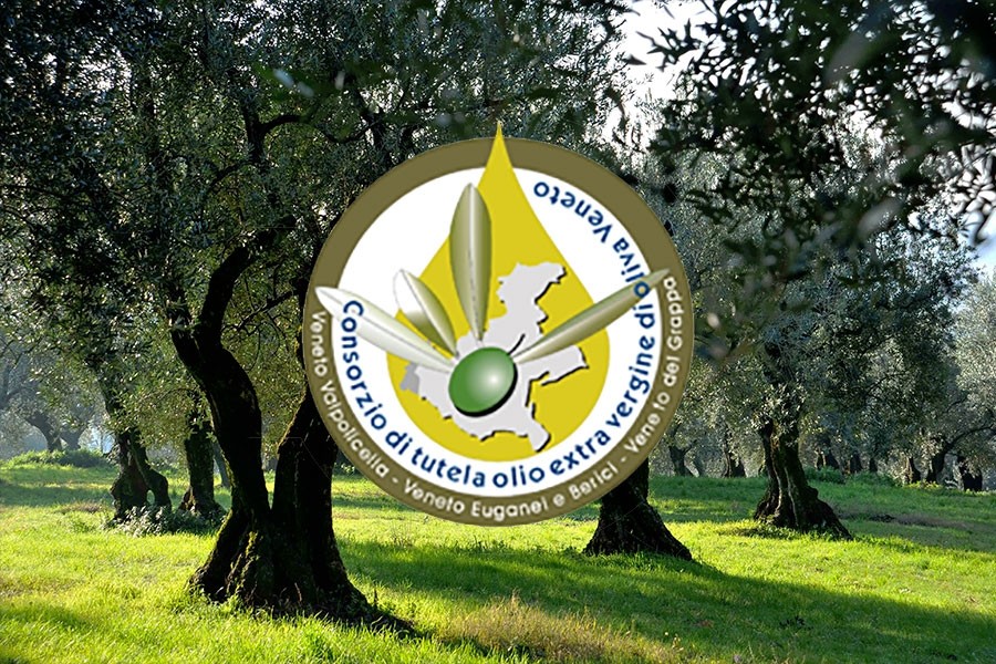 Veneto Olive Oil P.D.O.